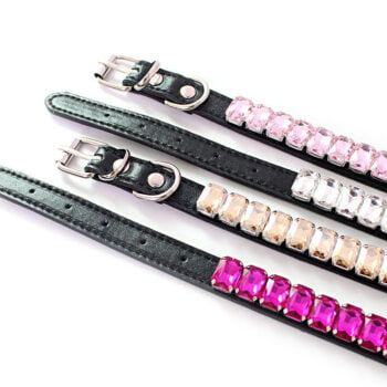 Luxury Diamond Dog Collar - 2025 - Puppy Streetwear Shop