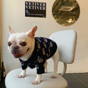 Dog Sweater Pawcci - 2025 - Puppy Streetwear Shop