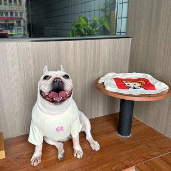 Dog Tshirt - 2026 - Puppy Streetwear Shop