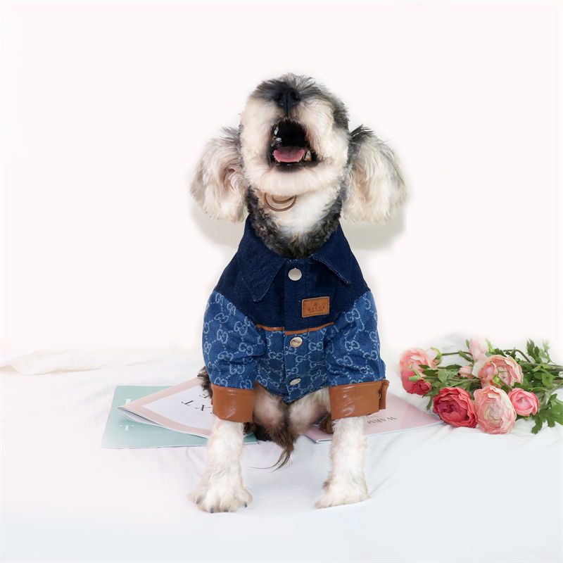 Dog Jacket Gucci - 2025 - Puppy Streetwear Shop