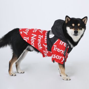 Dog Jacket The Dog Face - 2025 - Puppy Streetwear Shop Dog Jacket The Dog Face - 2025 - Puppy Streetwear Shop