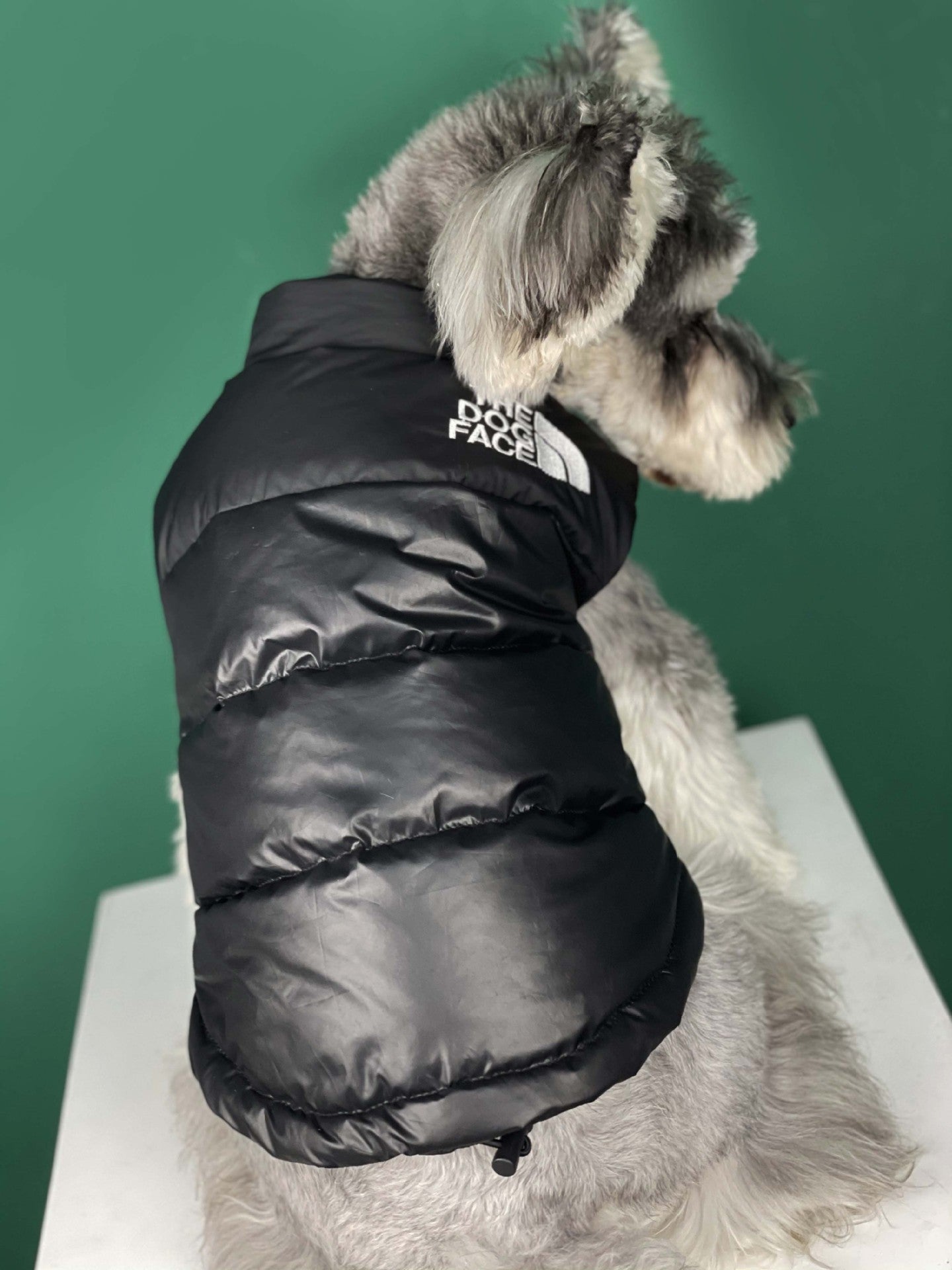Designer Dog Jacket The North Face - 2023 - Puppy Streetwear Shop