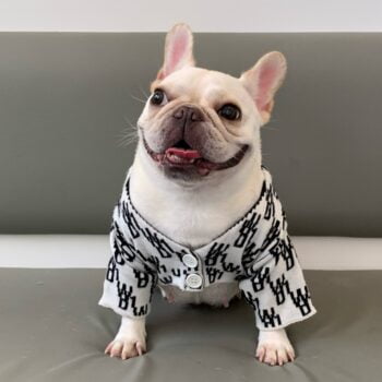 Dog Sweater - 2025 - Puppy Streetwear Shop Dog Sweater - 2025 - Puppy Streetwear Shop