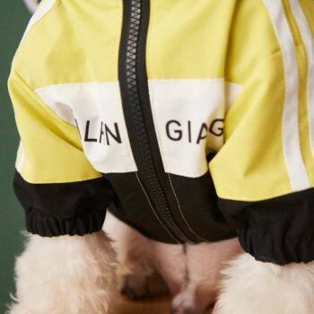 Dog Jacket Balenciaga - 2025 - Puppy Streetwear Shop Dog Jacket Balenciaga - 2025 - Puppy Streetwear Shop