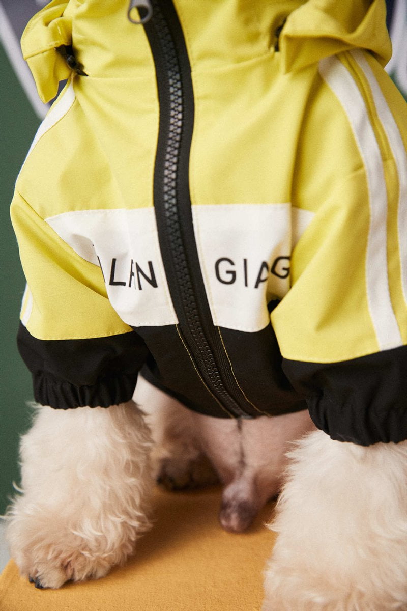 Dog Jacket Balenciaga - 2024 - Puppy Streetwear Shop