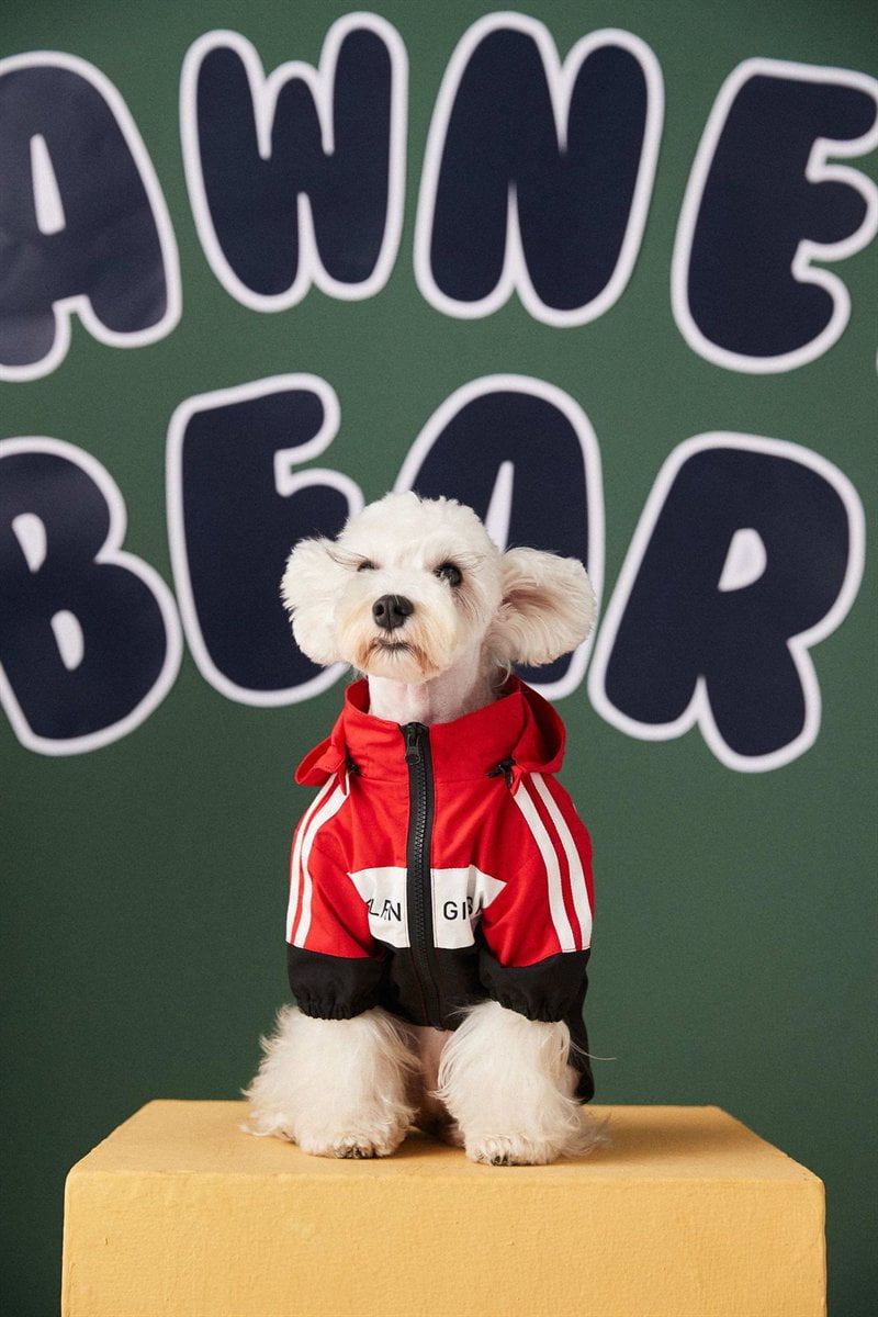 Designer Dog Jacket Balenciaga - 2023 - Puppy Streetwear Shop