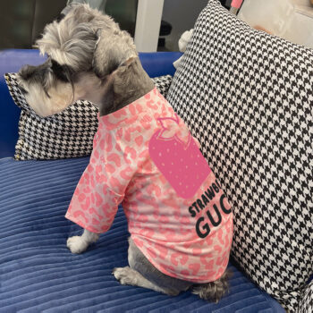 Dog Tshirt Pawcci - 2025 - Puppy Streetwear Shop