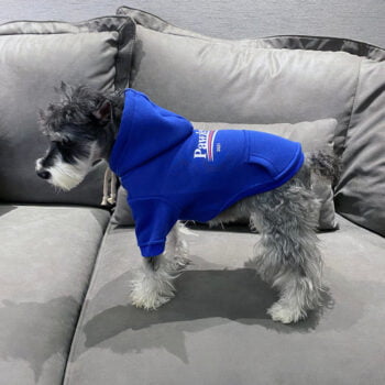 Dog Hoodies Balenciaga - 2026 - Puppy Streetwear Shop