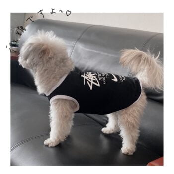 Dog Vest Nike - 2025 - Puppy Streetwear Shop