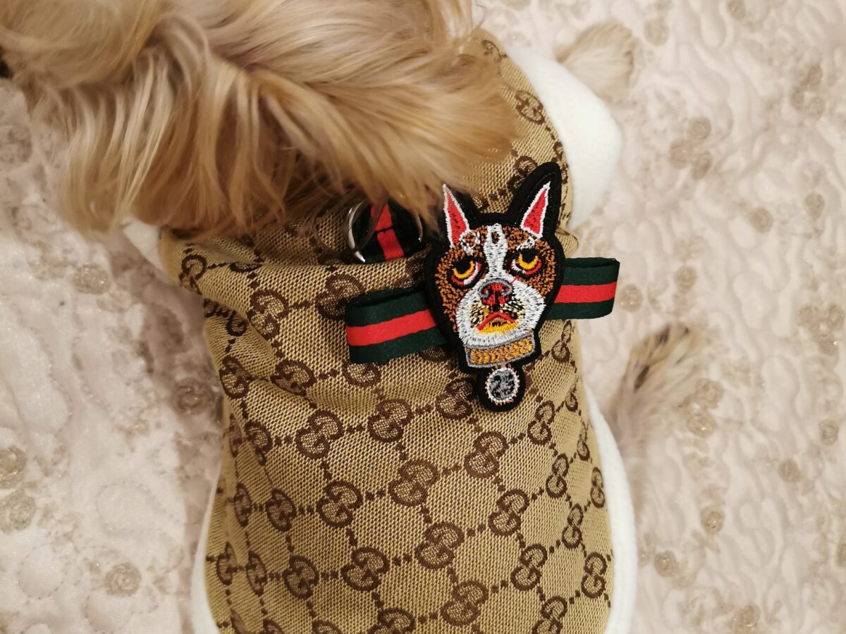 Gucci dog hot sale coat