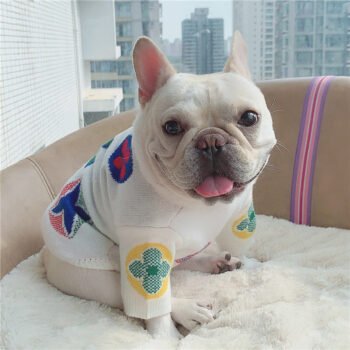 Dog Sweater Louis Pawtton - 2026 - Puppy Streetwear Shop