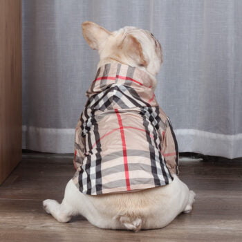 Dog Hoodies Burberry - 2025 - Puppy Streetwear Shop