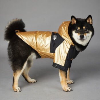 Dog Hoodies The North Face - 2026 - Puppy Streetwear Shop