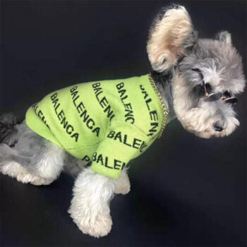 Dog Sweater Balenciaga - 2025 - Puppy Streetwear Shop
