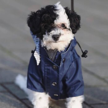 Dog Jacket - 2025 - Puppy Streetwear Shop