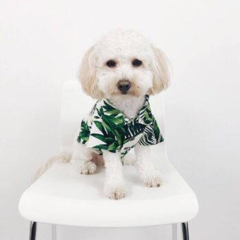 Dog Shirt - 2025 - Puppy Streetwear Shop