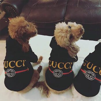 Dog Hoodies Pawcci - 2025 - Puppy Streetwear Shop