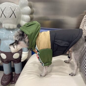 Dog Jacket Pawcci - 2026 - Puppy Streetwear Shop