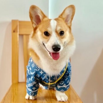 Dog Shirt Louis Pawtton - 2025 - Puppy Streetwear Shop