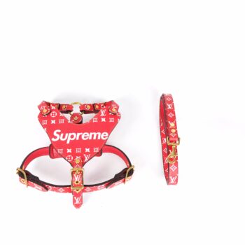 Dog Collar Harness Louis Pawtton - 2025 - Puppy Streetwear Shop