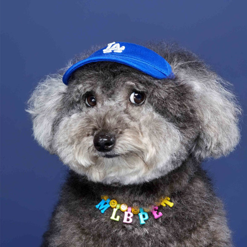 Designer Dog Caps - 2023 - Puppy Streetwear Shop