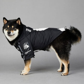 Dog Hoodies The North Face - 2025 - Puppy Streetwear Shop