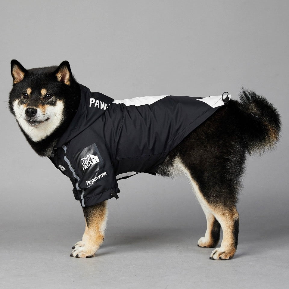 Designer Dog Hoodies The North Face - 2023 - Puppy Streetwear Shop