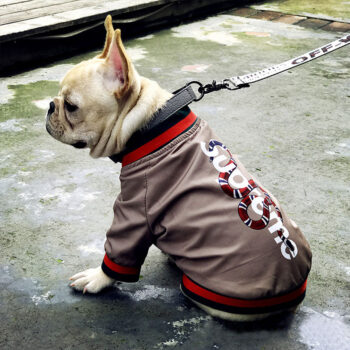 Dog Jacket Pawcci - 2025 - Puppy Streetwear Shop