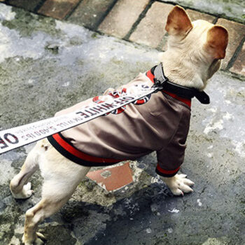Dog Jacket Pawcci - 2025 - Puppy Streetwear Shop