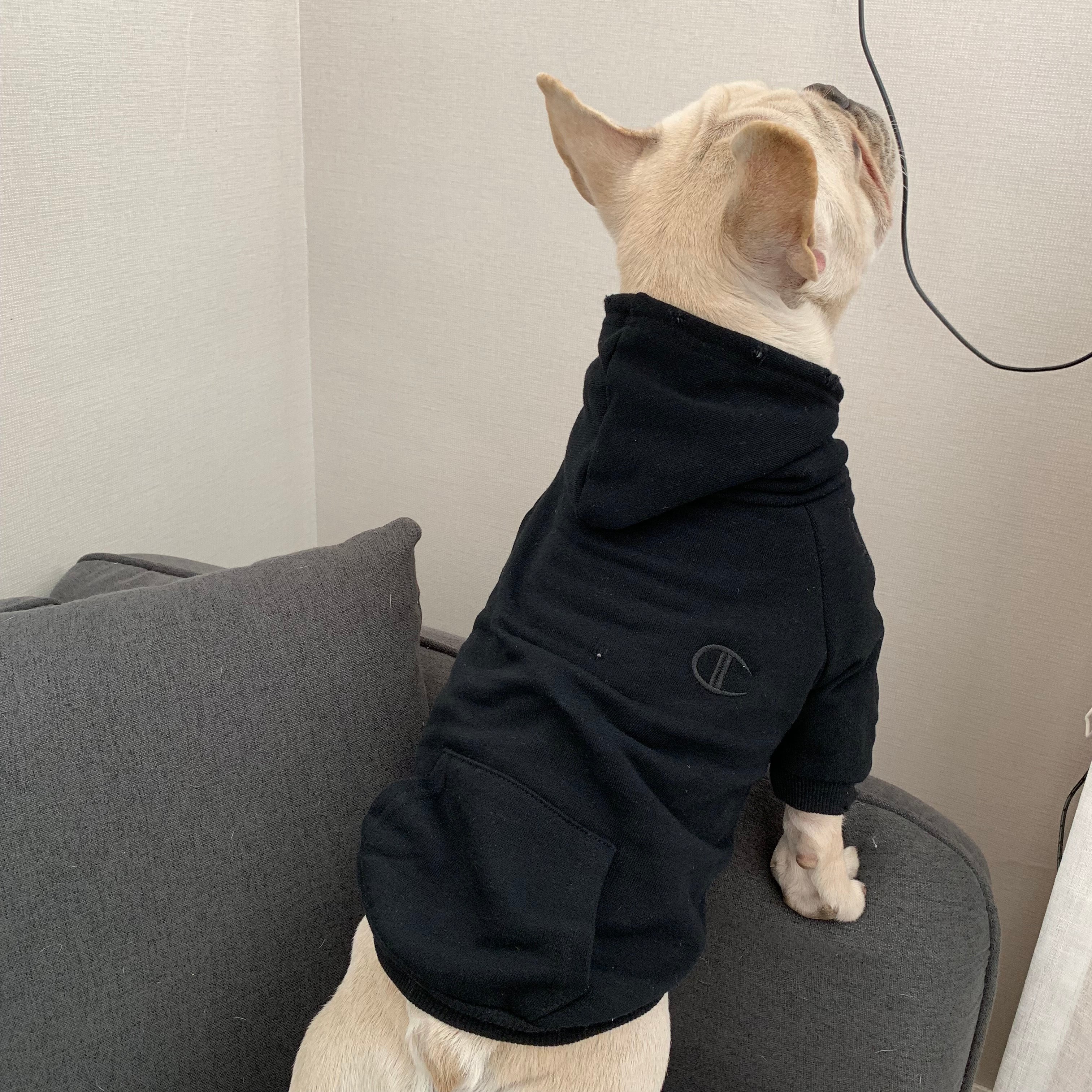 Dog Hoodies Champion - 2024 - Puppy Streetwear Shop