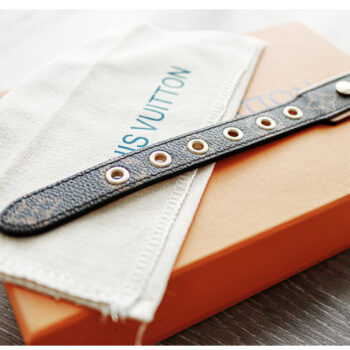 Dog Collar Harness Louis Pawtton - 2025 - Puppy Streetwear Shop