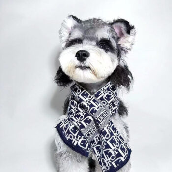 Dog Scarf Dior - 2025 - Puppy Streetwear Shop