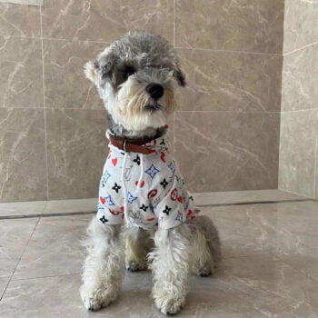 Dog Hoodies Louis Pawtton - 2025 - Puppy Streetwear Shop