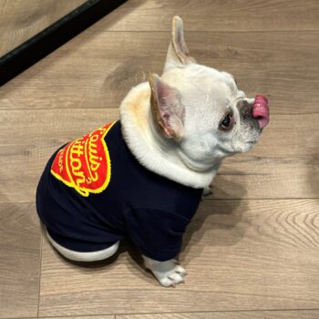 Dog Tshirt Louis Pawtton - 2026 - Puppy Streetwear Shop