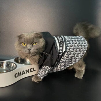 Dog Hoodies Dior - 2026 - Puppy Streetwear Shop