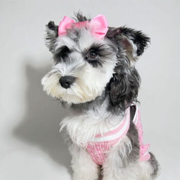 Dog Sweater Chanel - 2025 - Puppy Streetwear Shop