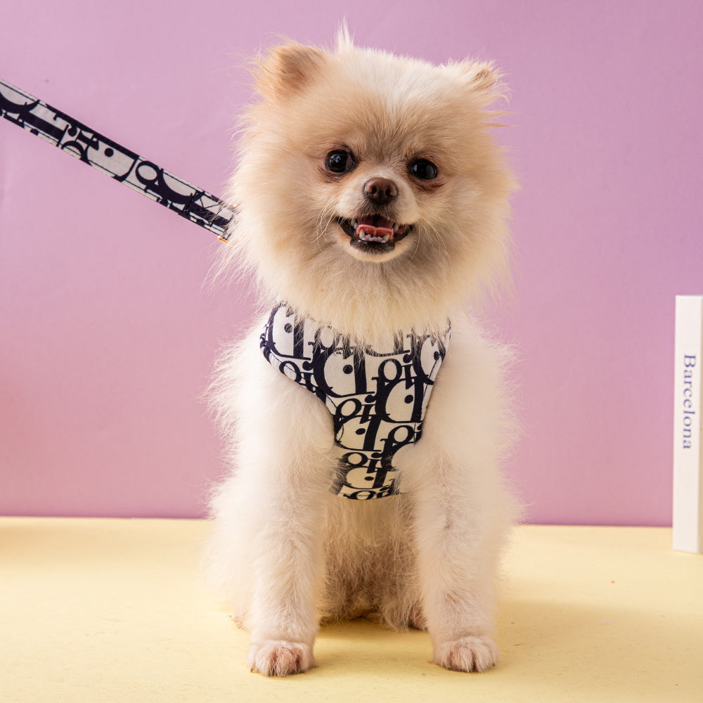 Designer Dog Collar Harness Dior - 2024 - Puppy Streetwear Shop