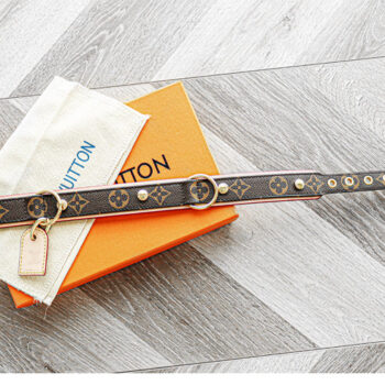 Dog Collar Harness Louis Pawtton - 2025 - Puppy Streetwear Shop