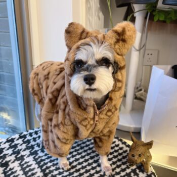 Dog Hoodies Louis Pawtton - 2025 - Puppy Streetwear Shop Dog Hoodies Louis Pawtton - 2025 - Puppy Streetwear Shop