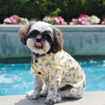 Dog Shirt - 2025 - Puppy Streetwear Shop