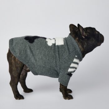 Dog Sweater WOOF - 2026 - Puppy Streetwear Shop