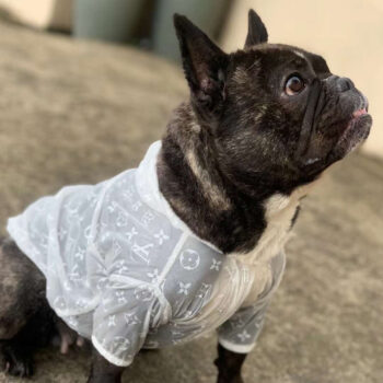 Dog Hoodies Fendi - 2025 - Puppy Streetwear Shop