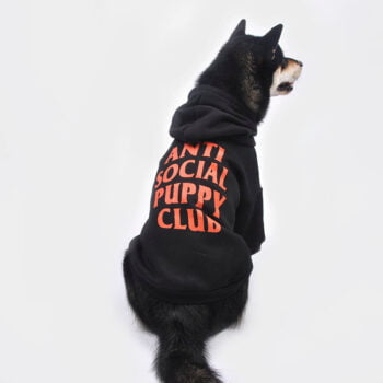 Dog Hoodies ASSP - 2025 - Puppy Streetwear Shop