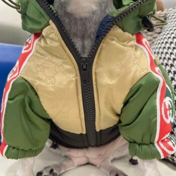 Dog Jacket Pawcci - 2026 - Puppy Streetwear Shop