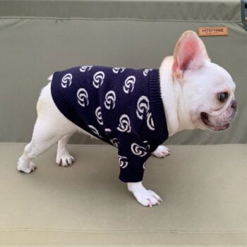 Dog Sweater Pawcci - 2025 - Puppy Streetwear Shop