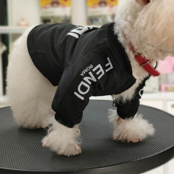 Dog Jacket Fendi - 2025 - Puppy Streetwear Shop