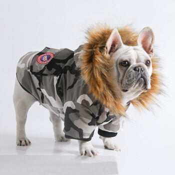 Dog Jacket Canada Goose - 2025 - Puppy Streetwear Shop