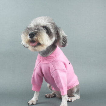 Dog Sweater Balenciaga - 2026 - Puppy Streetwear Shop