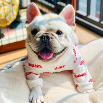 Dog Jacket Supreme - 2025 - Puppy Streetwear Shop