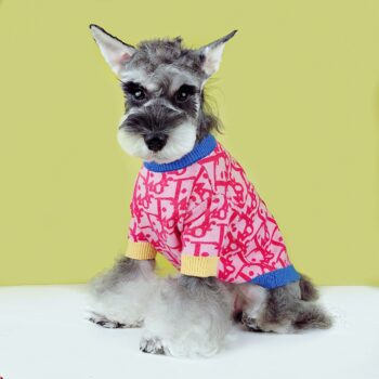 Dog Sweater Dior - 2025 - Puppy Streetwear Shop